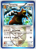Ursaring (Team Plasma) Uncommon Plasma Blast 76/101 LP 2013