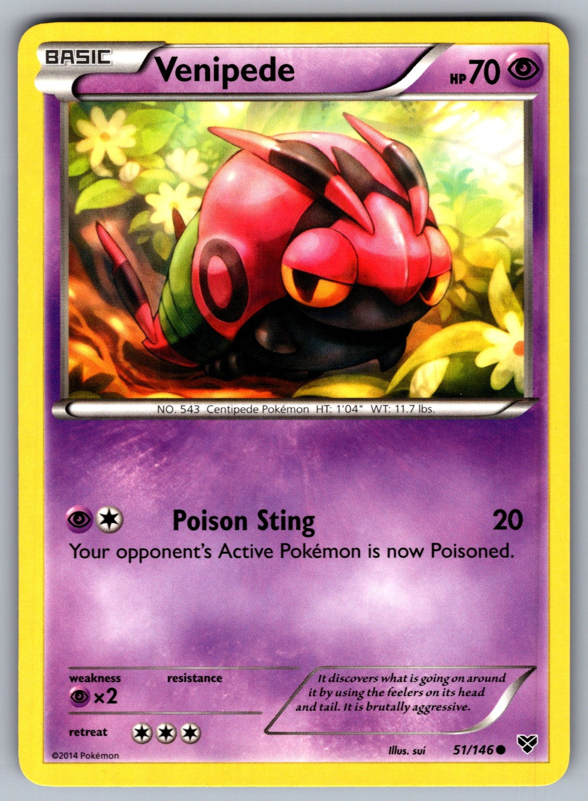 Venipede Common XY Base Set 51/146 LP 2014