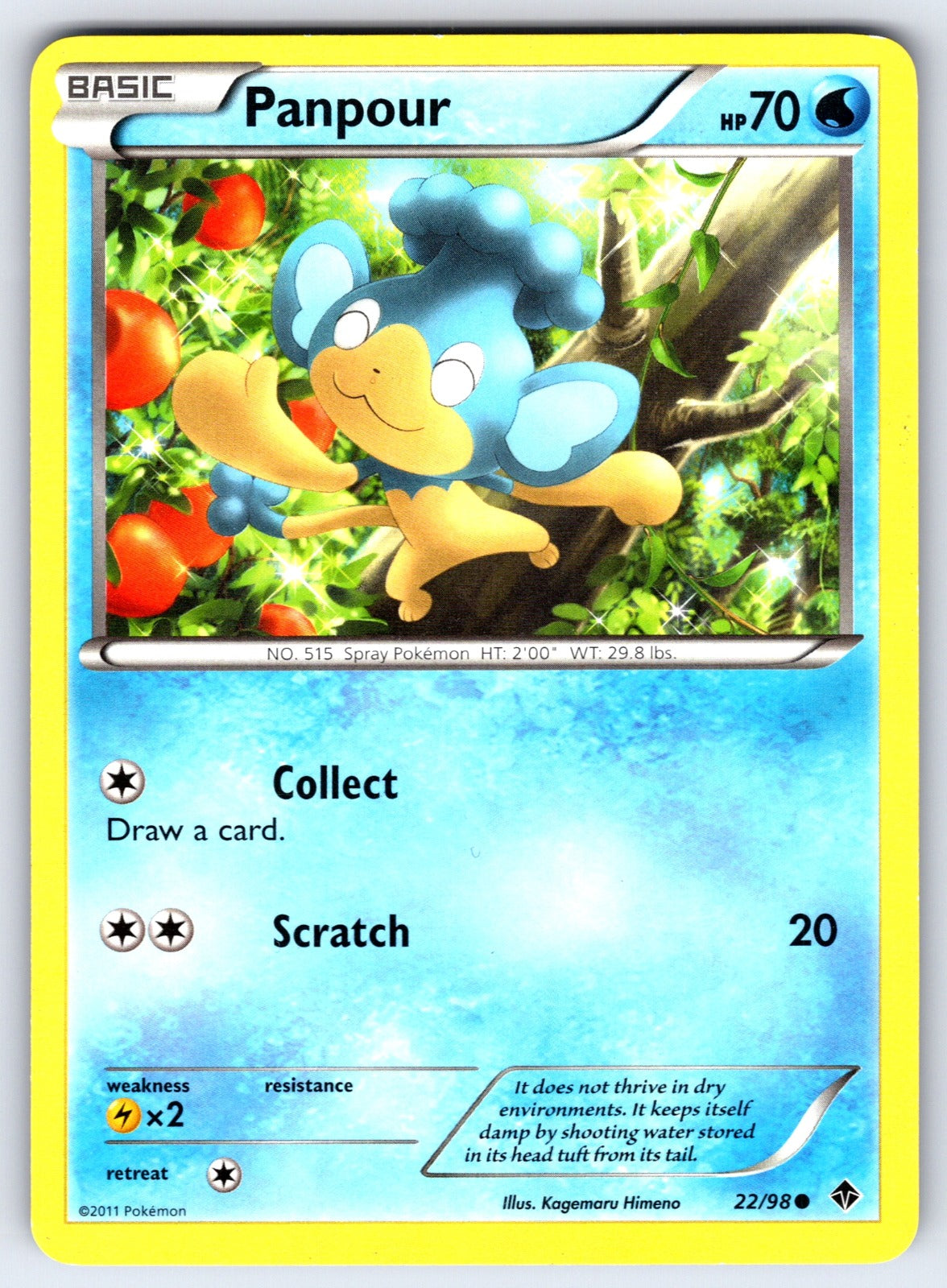Panpour Common Emerging Powers 22/98 LP 2011