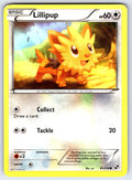 Lillipup (81) Common Black and White 81/114 LP 2011
