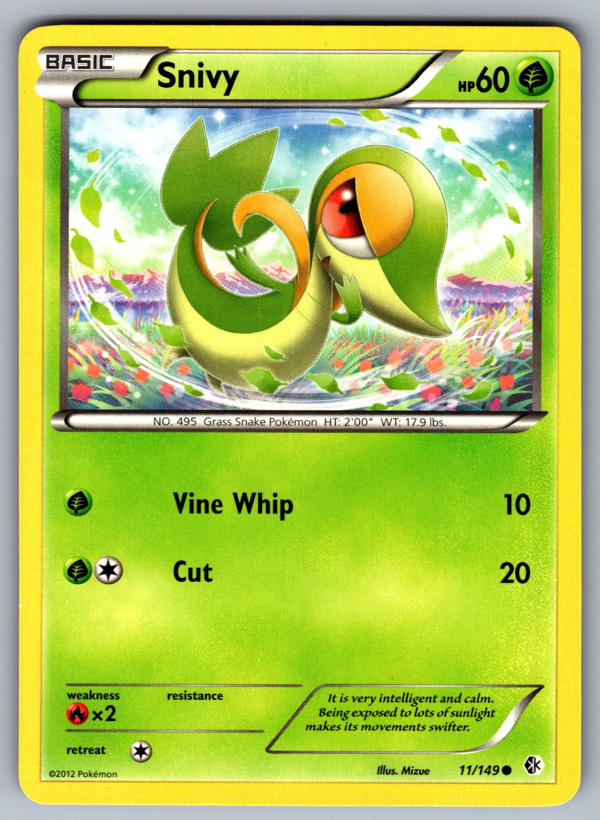 Snivy Common Boundaries Crossed 11/149 LP 2012