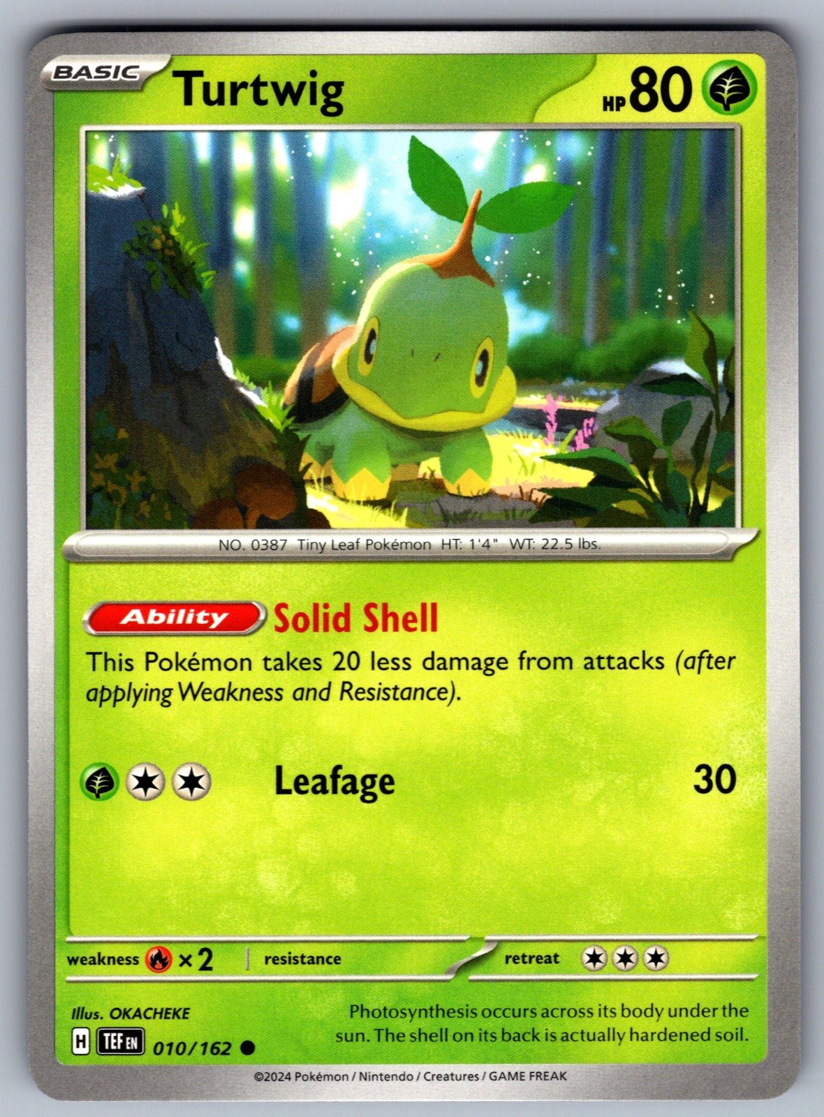 Turtwig Common SV05: Temporal Forces 010/162 NM 2024