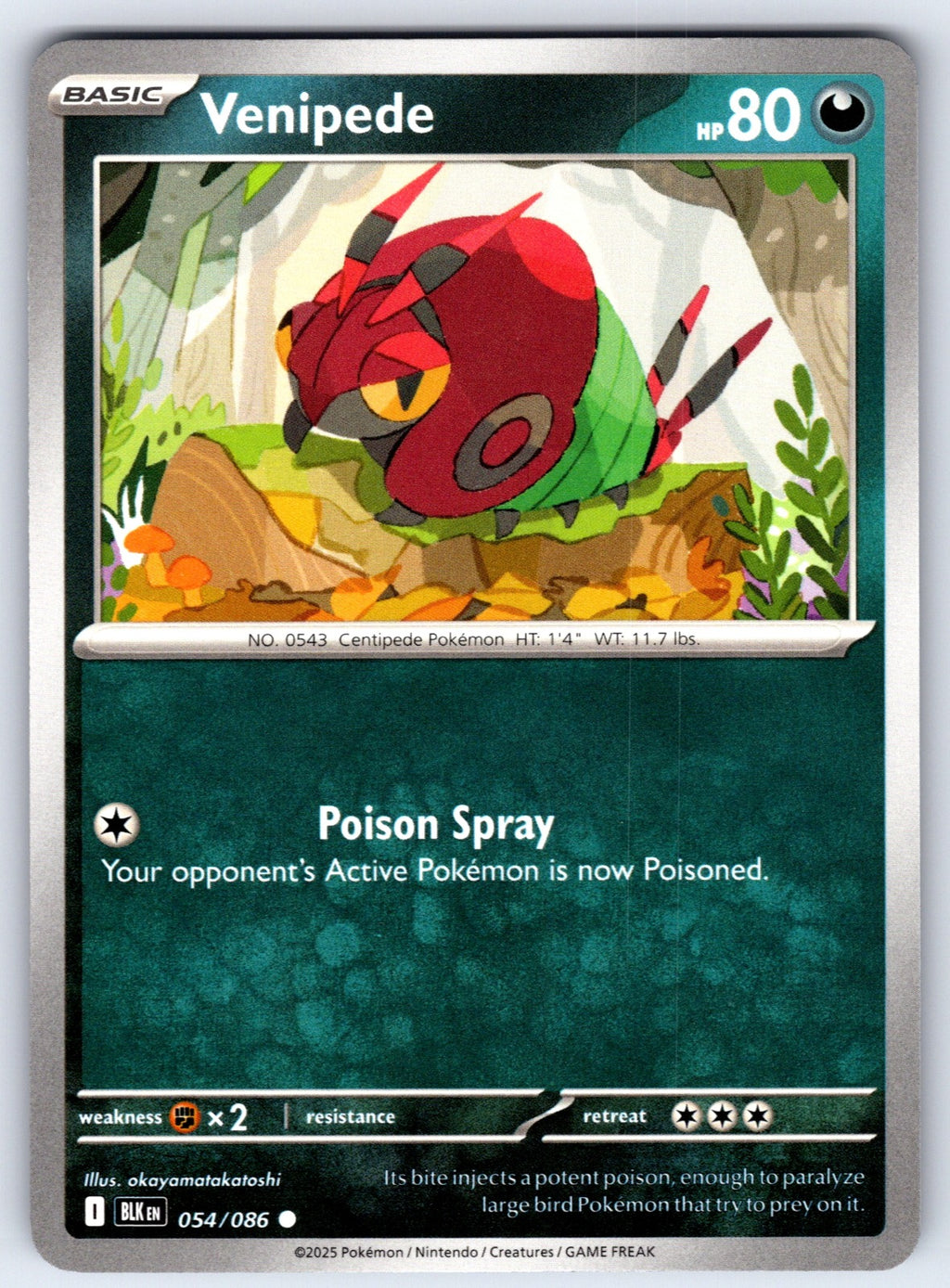 Venipede Common SV: Black Bolt 054/086 NM 2025