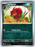 Venipede Common SV: Black Bolt 054/086 NM 2025