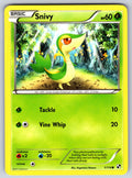 Snivy (2) Common Black and White 2/114 LP 2011