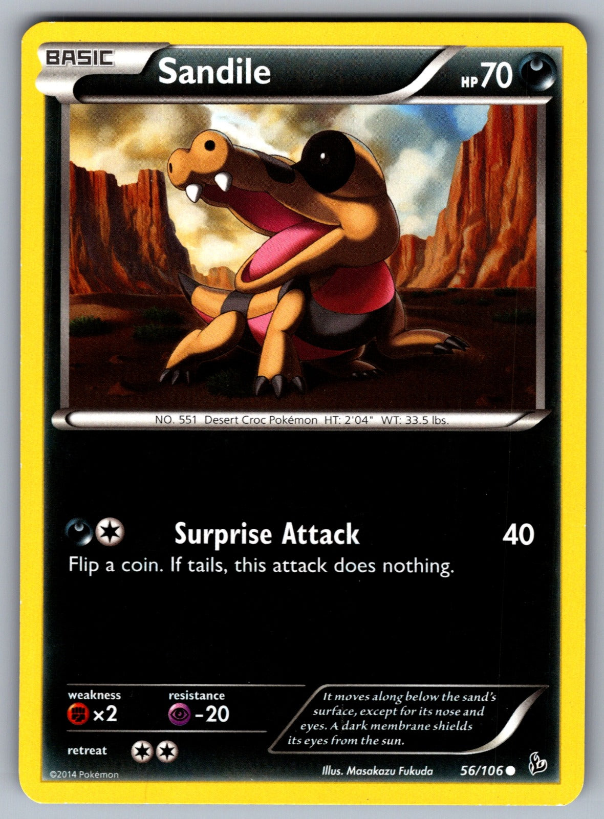 Sandile Common XY - Flashfire 56/106 LP 2014
