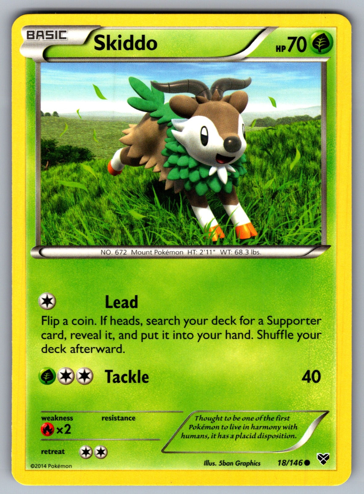Skiddo Common XY Base Set 18/146 LP 2014