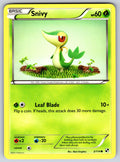 Snivy (2) Common Black and White 2/114 LP 2011
