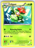 Lilligant Uncommon Emerging Powers 14/98 LP 2011