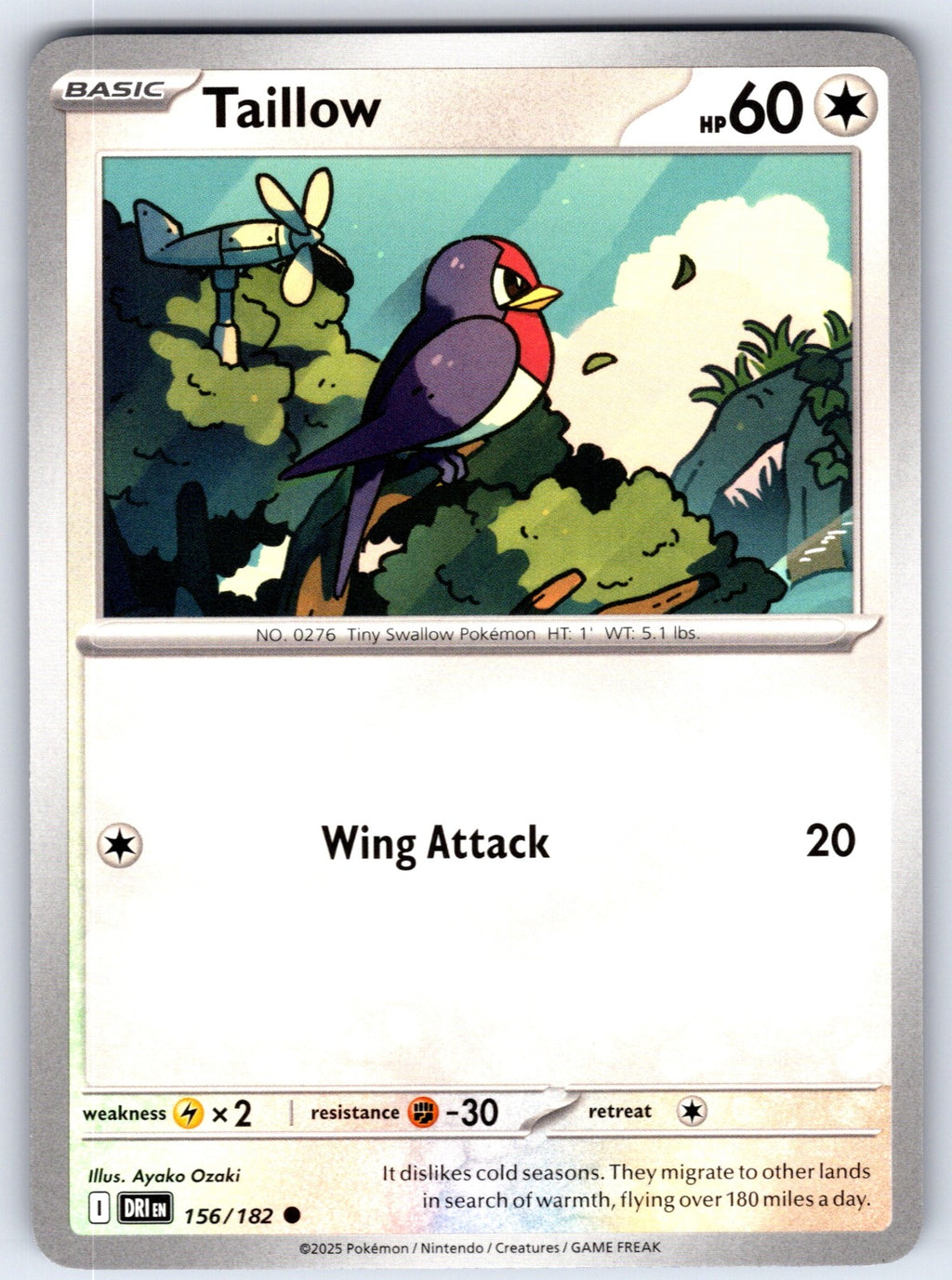 Taillow Common SV10: Destined Rivals 156/182 NM 2025
