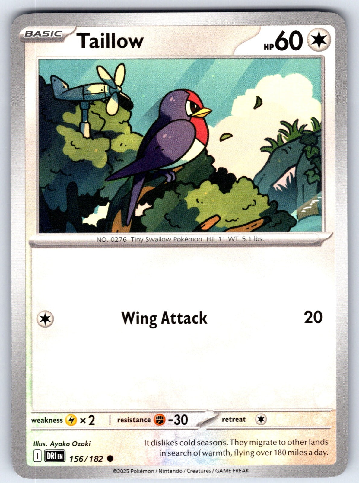Taillow Common SV10: Destined Rivals 156/182 NM 2025