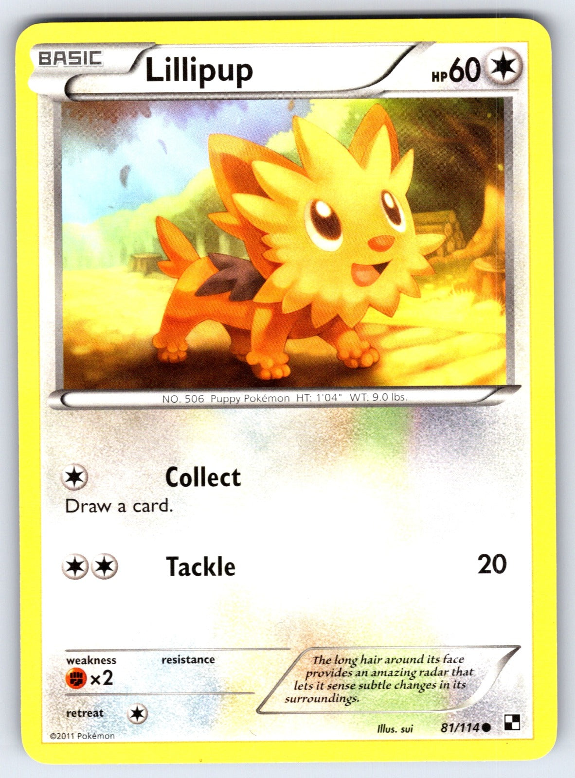 Lillipup (81) Common Black and White 81/114 LP 2011