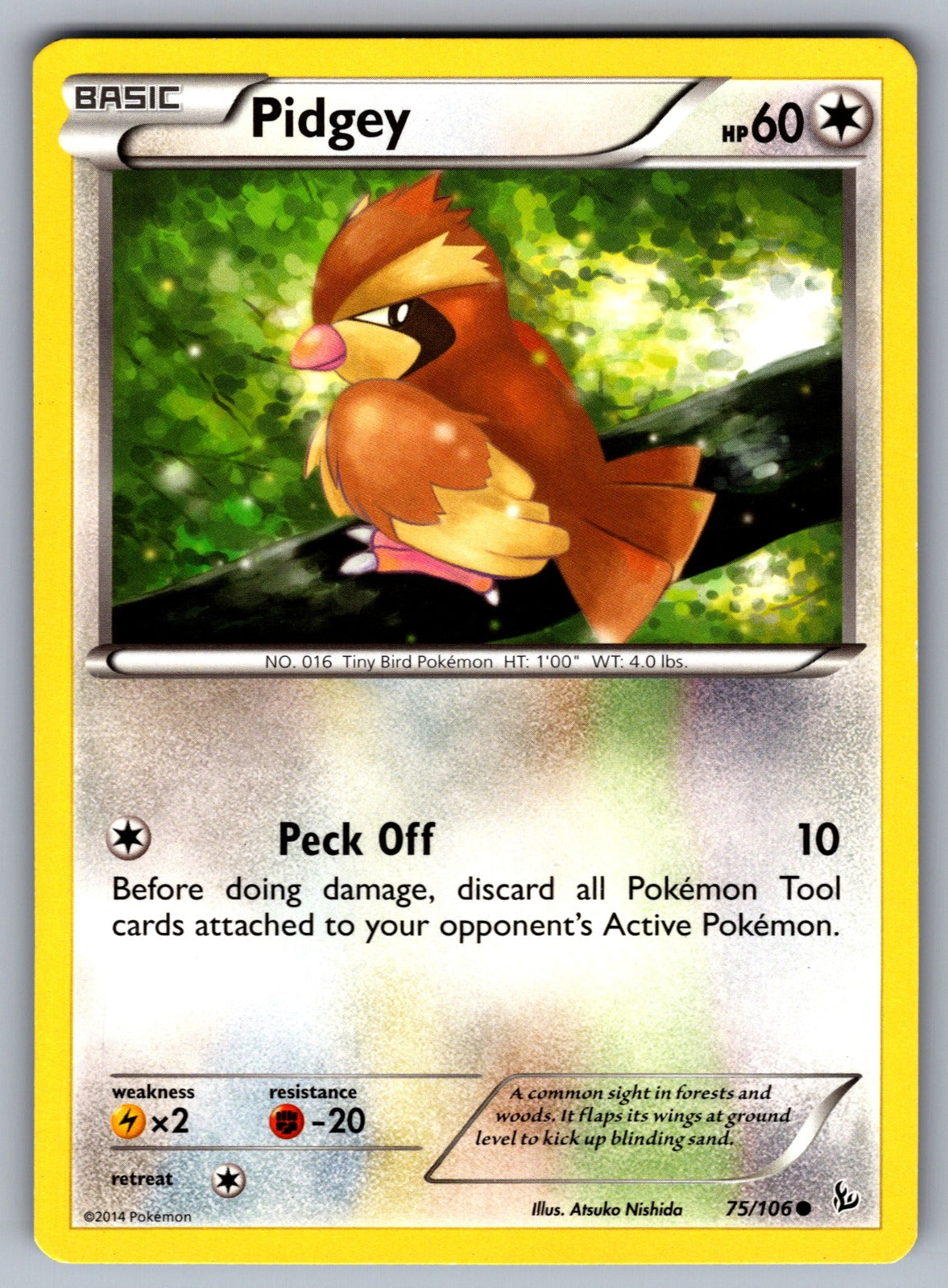 Pidgey Common XY - Flashfire 75/106 LP 2014