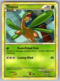 Tropius Rare Undaunted 22/90 LP 2010