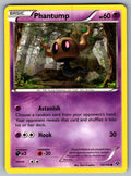 Phantump Common XY Base Set 54/146 LP 2014