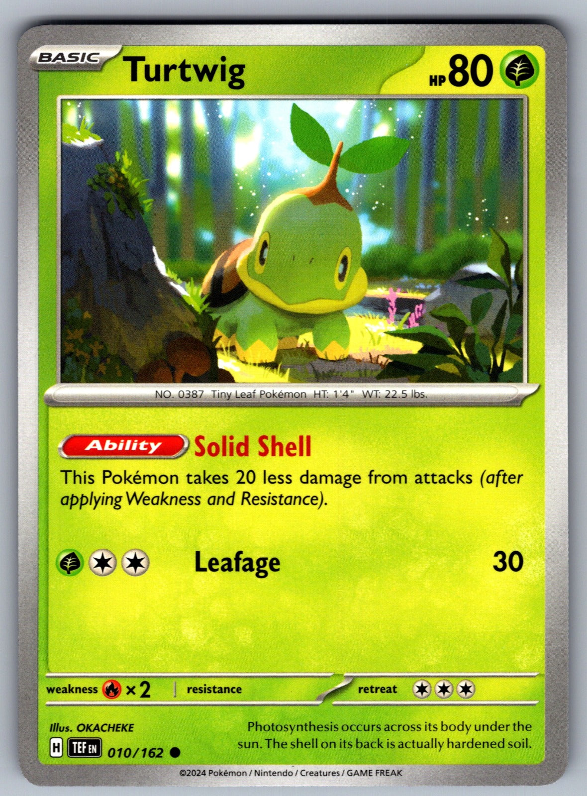 Turtwig Common SV05: Temporal Forces 010/162 NM 2024