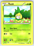 Petilil Common Emerging Powers 13/98 LP 2011