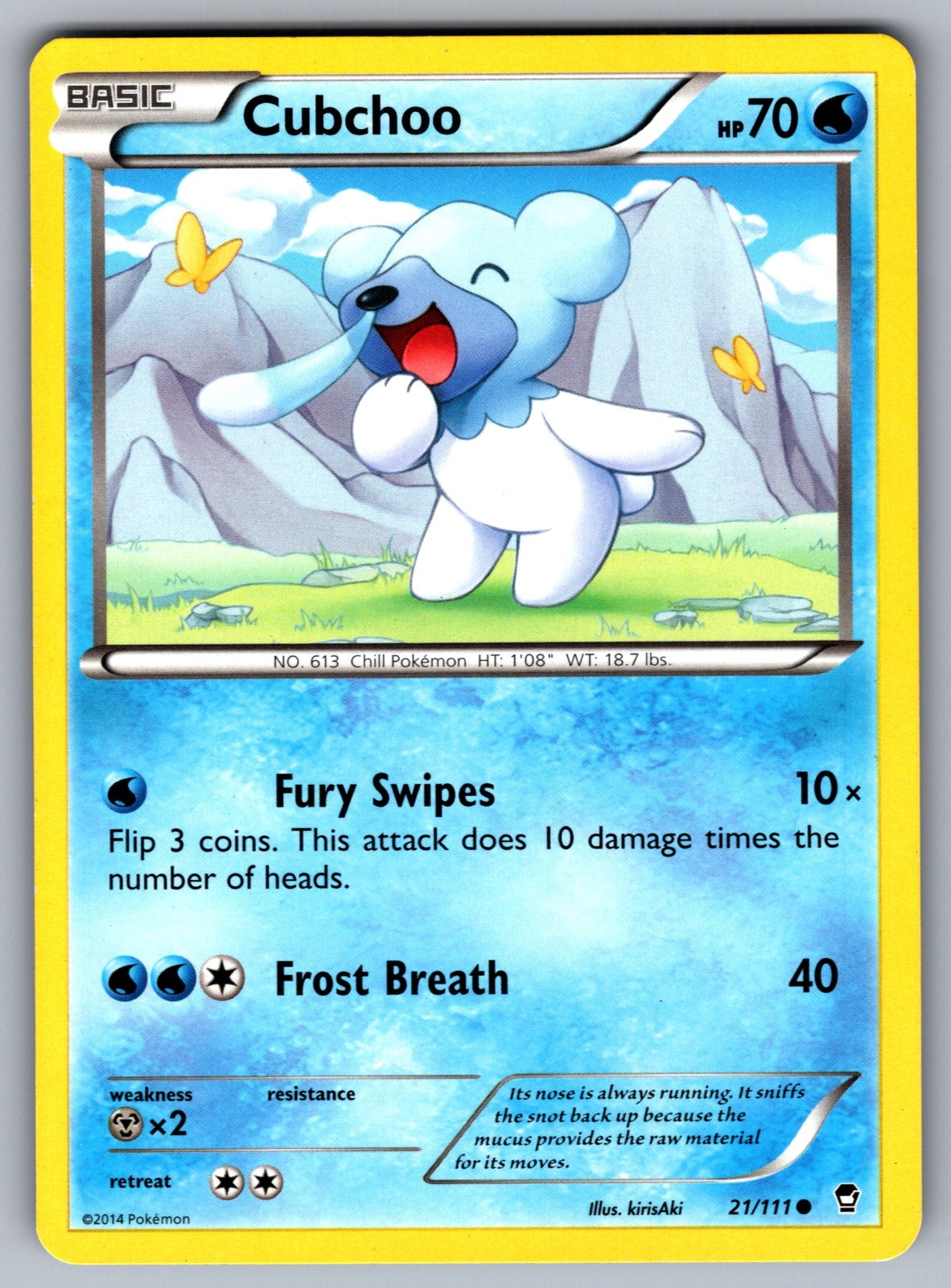 Cubchoo Common XY - Furious Fists 21/111 LP 2014