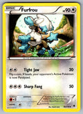 Furfrou Uncommon XY - Phantom Forces 90/119 LP 2014