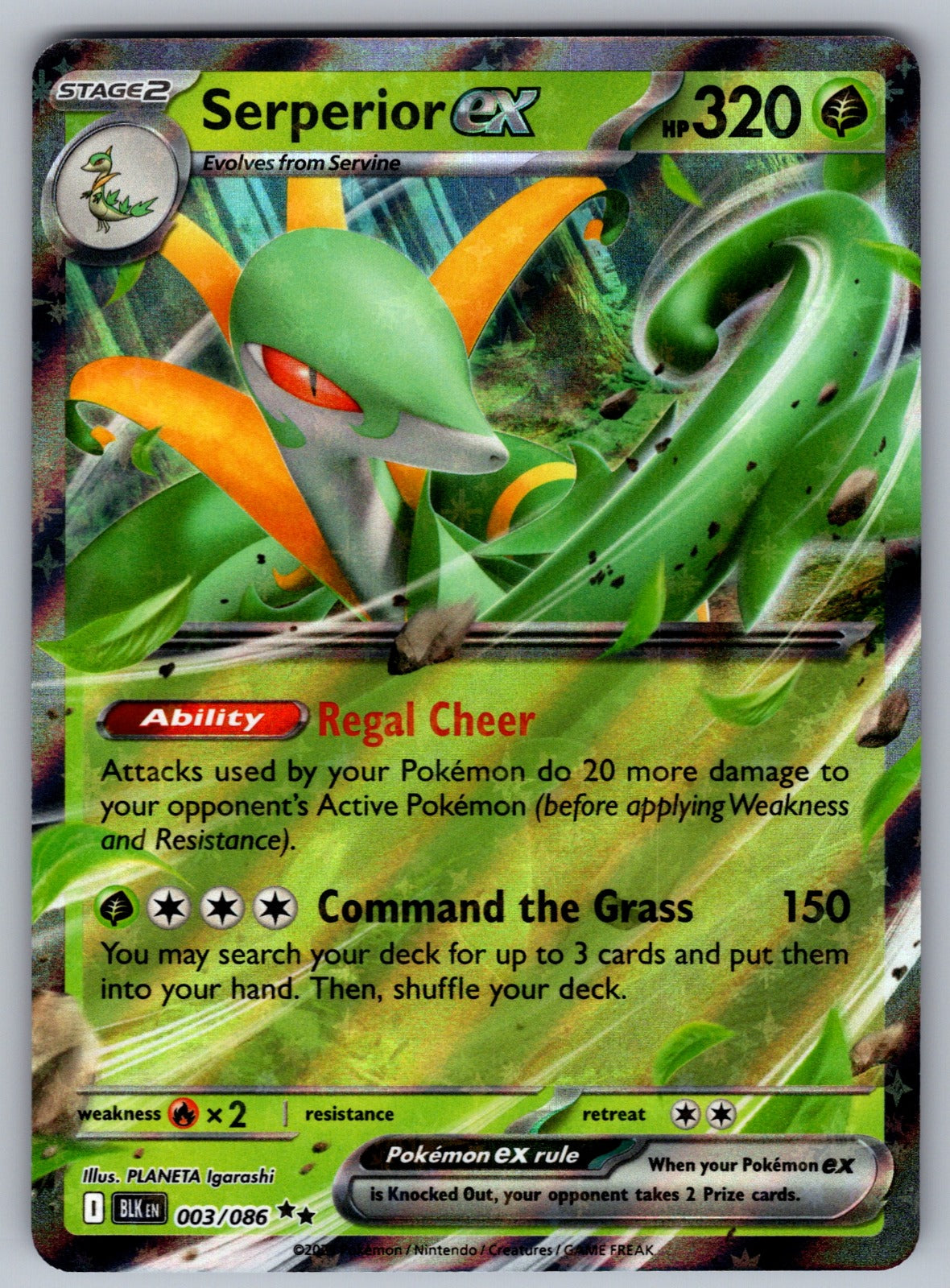Serperior ex Holo Double Rare SV: Black Bolt 003/086 NM 2025
