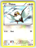 Pidove Common Emerging Powers 80/98 LP 2011