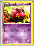 Venipede Common XY Base Set 51/146 LP 2014