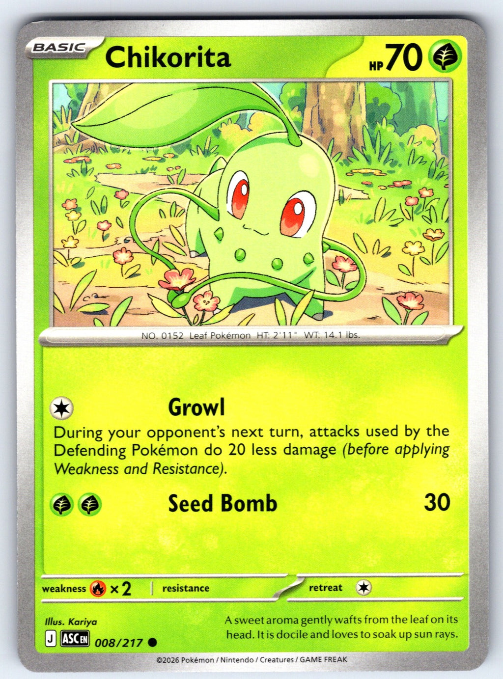 Chikorita Common ME: Ascended Heroes 008/217 NM 2026