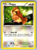 Pidgey Common XY - Flashfire 75/106 LP 2014