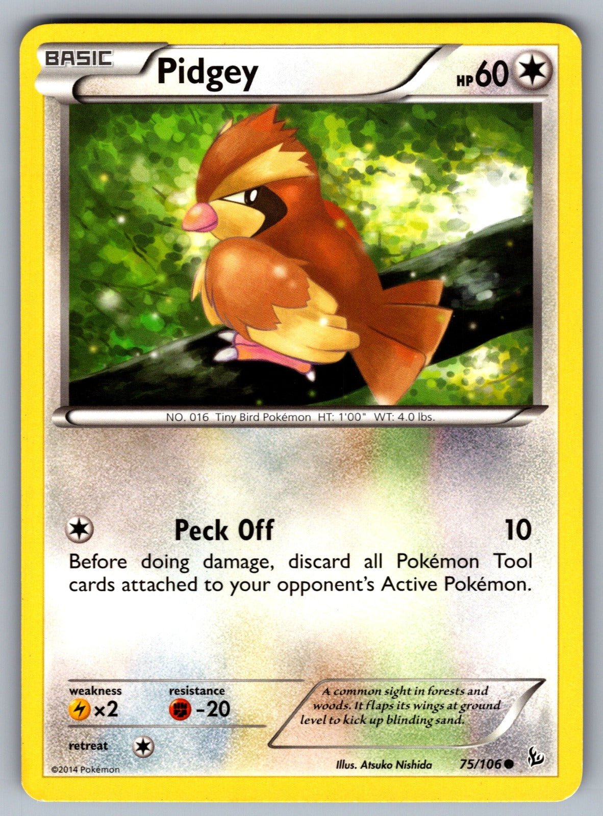 Pidgey Common XY - Flashfire 75/106 LP 2014