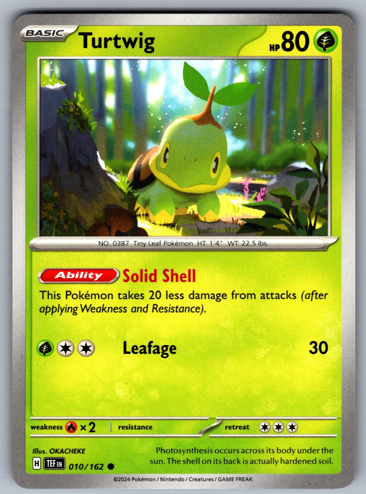 Turtwig Common SV05: Temporal Forces 010/162 NM 2024