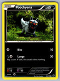 Poochyena Common XY - Phantom Forces 53/119 LP 2014
