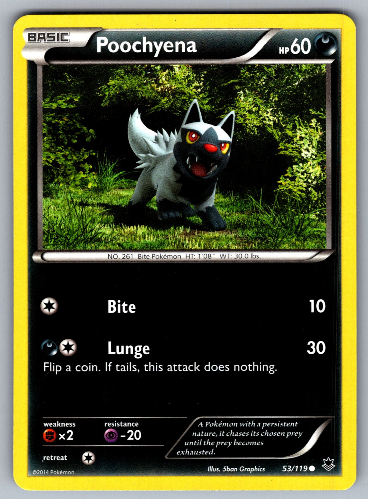 Poochyena Common XY - Phantom Forces 53/119 LP 2014