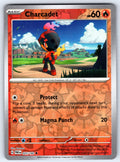 Charcadet Reverse Holo Common SV04: Paradox Rift 025/182 NM 2023
