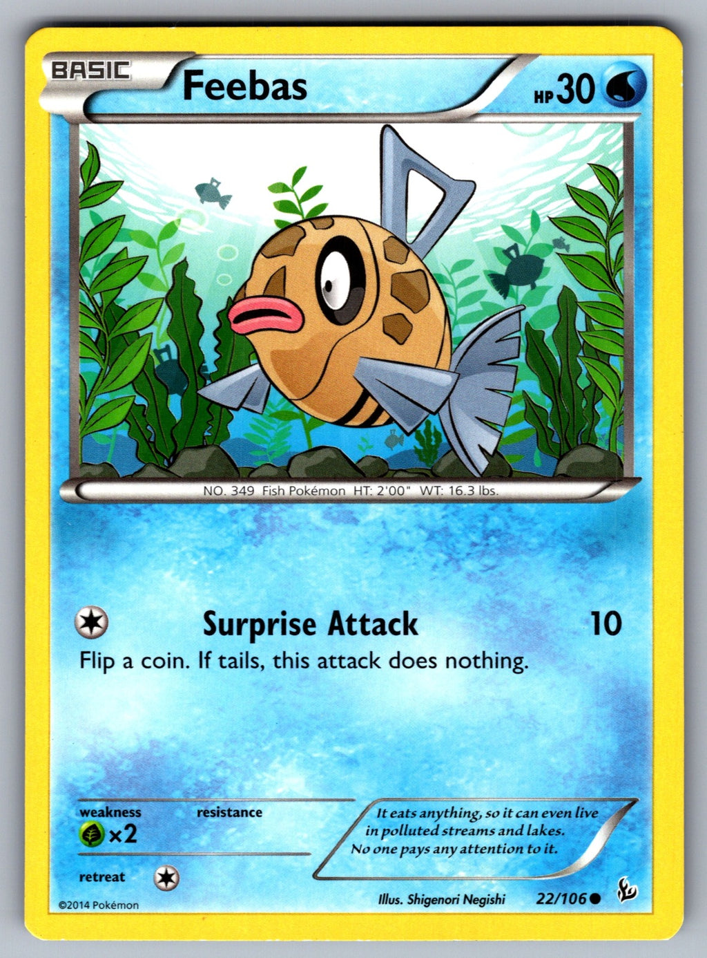 Feebas Common XY - Flashfire 22/106 LP 2014