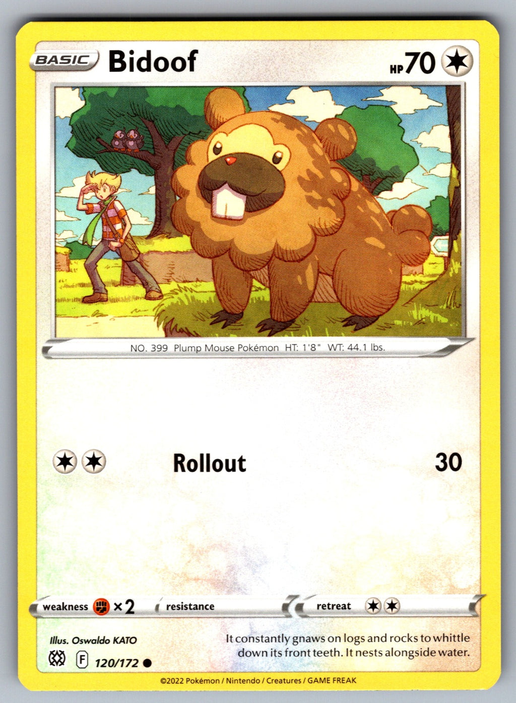 Bidoof Common SWSH09: Brilliant Stars 120/172 NM 2022