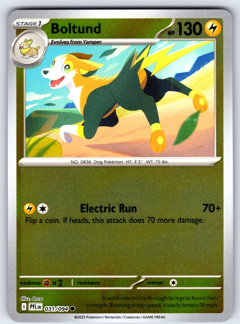 Boltund Reverse Holo Common ME02: Phantasmal Flames 031/094 NM 2025