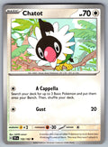 Chatot Common SV05: Temporal Forces 132/162 NM 2024
