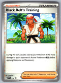 Black Belt's Training Promo SV: Scarlet & Violet Promo Cards 219 NM 2023