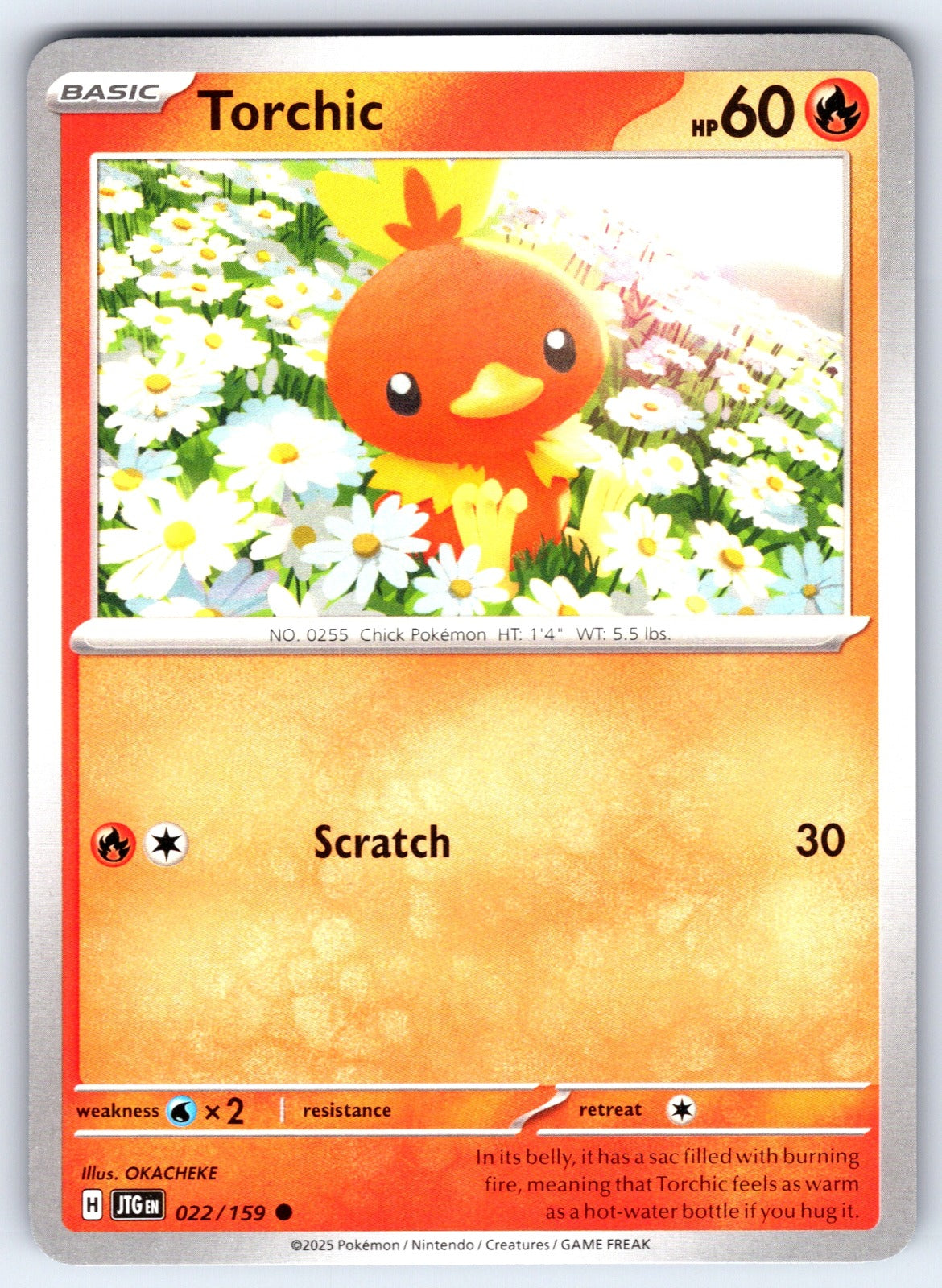 Torchic Common SV09: Journey Together 022/159 NM 2025