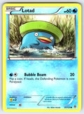 Lotad Common Plasma Storm 29/135 LP 2013