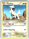 Furfrou (#22 - Sylveon) Common XY Trainer Kit: Sylveon & Noivern 22/30 LP 2014