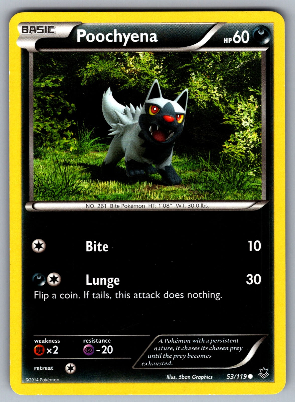 Poochyena Common XY - Phantom Forces 53/119 LP 2014