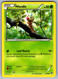 Weedle Common XY Base Set 3/146 LP 2014