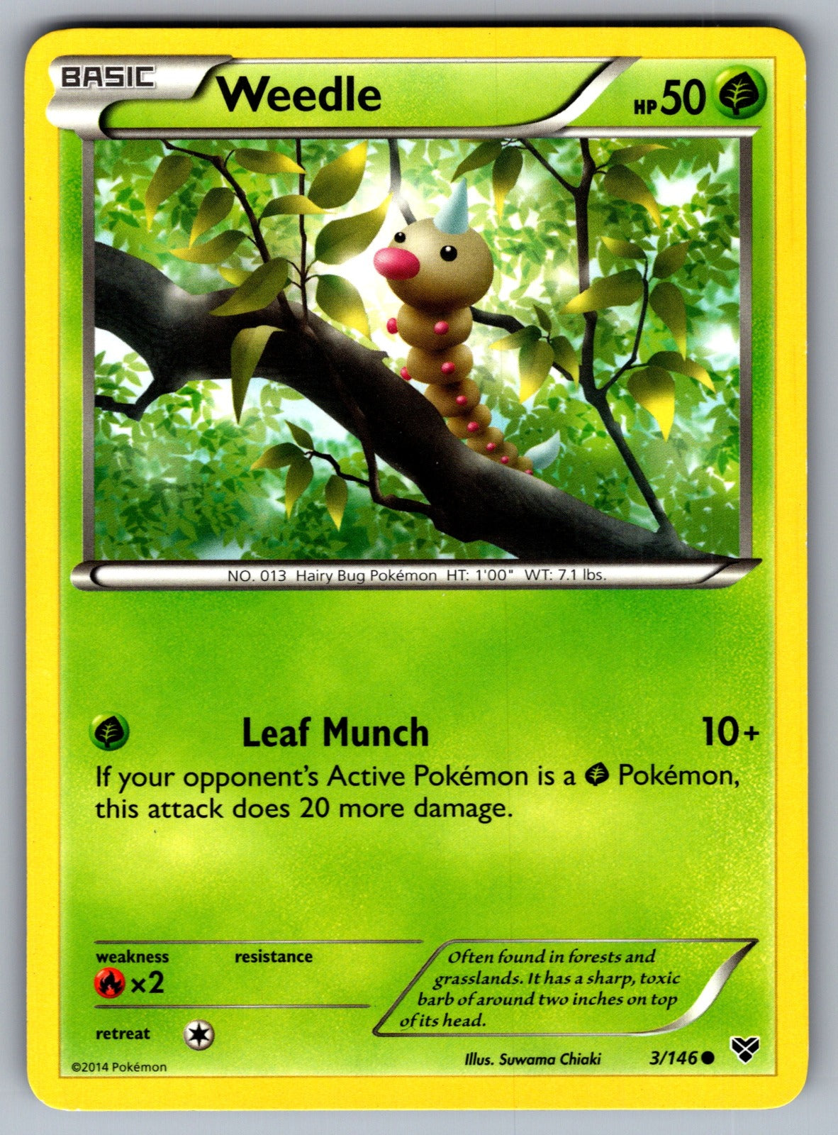 Weedle Common XY Base Set 3/146 LP 2014
