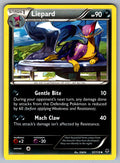 Liepard Uncommon XY - Phantom Forces 57/119 LP 2014