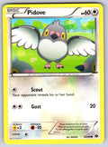 Pidove Common Next Destinies 83/99 LP 2012