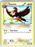 Staravia Uncommon Plasma Freeze 96/116 LP 2013
