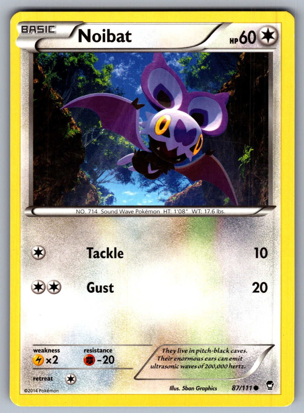 Noibat Common XY - Furious Fists 87/111 LP 2014