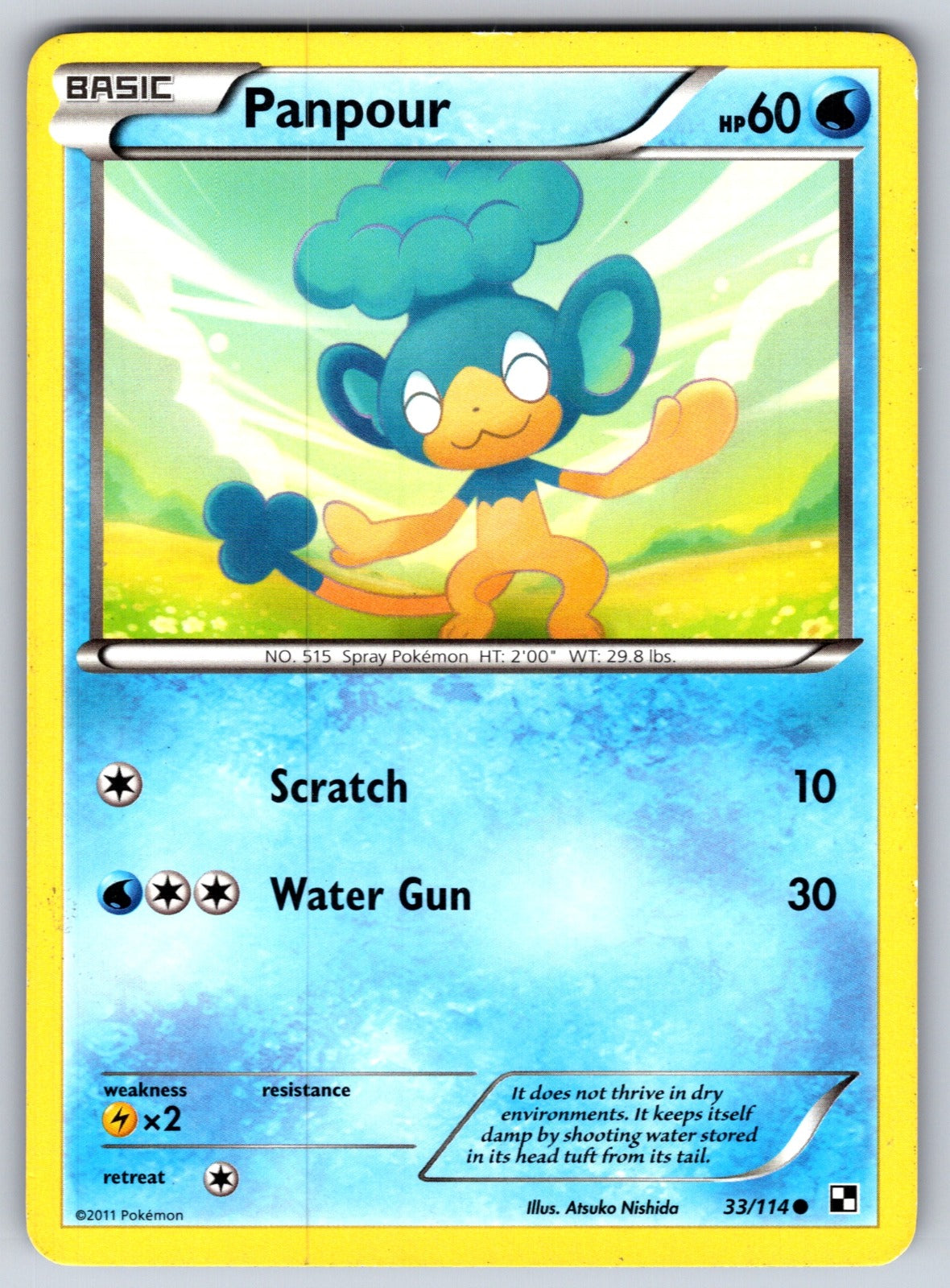 Panpour Common Black and White 33/114 LP 2011