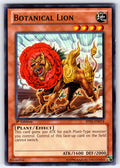 Botanical Lion 1st Edition Common Battle Pack 2: War of the Giants BP02-EN074 LP